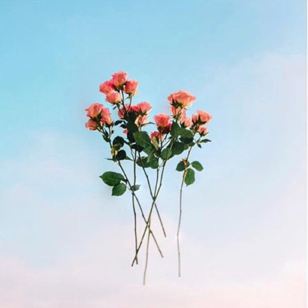 Meet your Posher, Regine